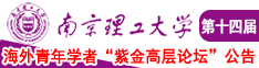 日本大吊插穴在线南京理工大学第十四届海外青年学者紫金论坛诚邀海内外英才！